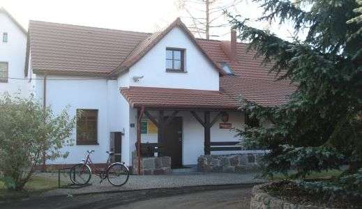 Dementują