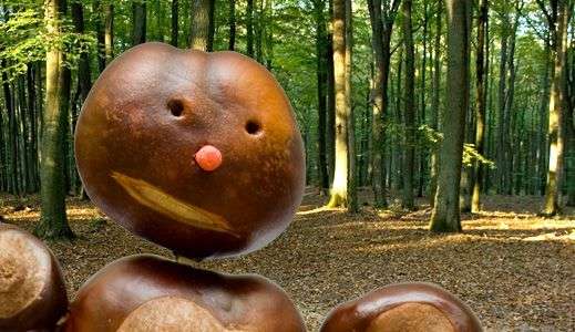 Przedłużamy czas zgłoszeń