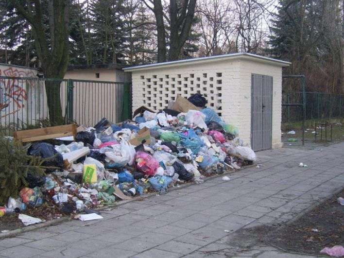 Clean up the World - Akcja Sprzątanie Świata