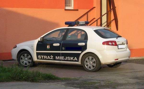 Ani do ścigania, ani do robienia kokosów