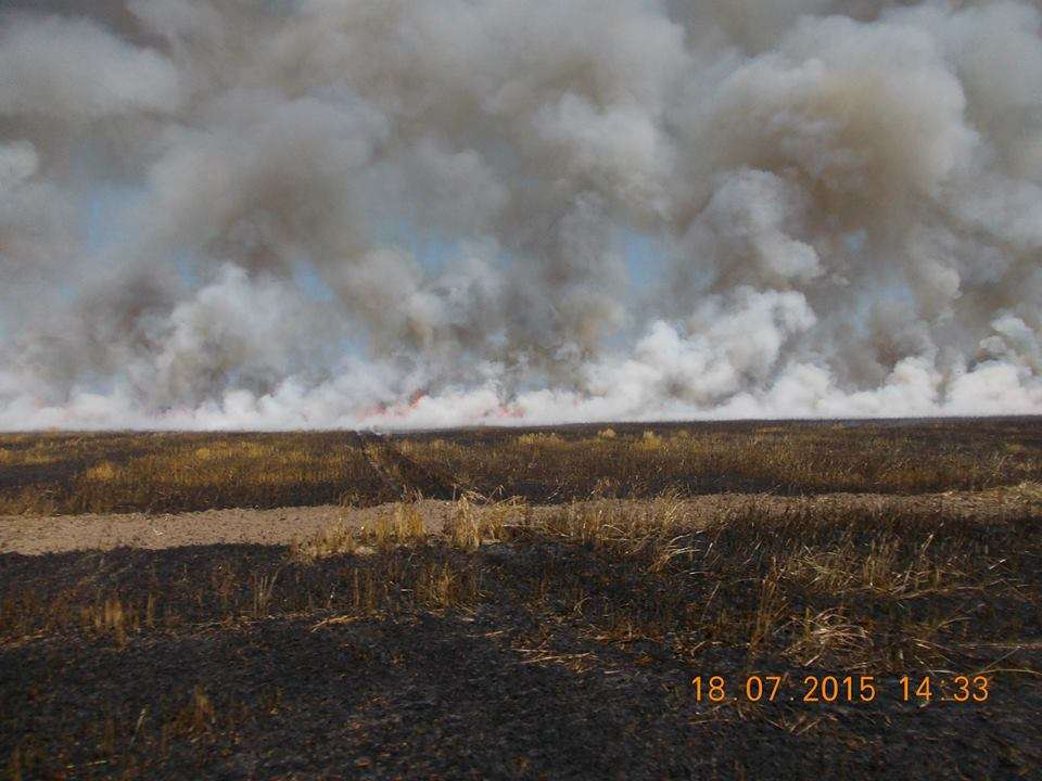Pożar zboża w Samborsku