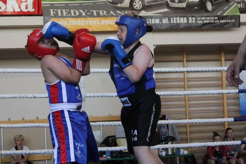 Złotów Boxing Night
