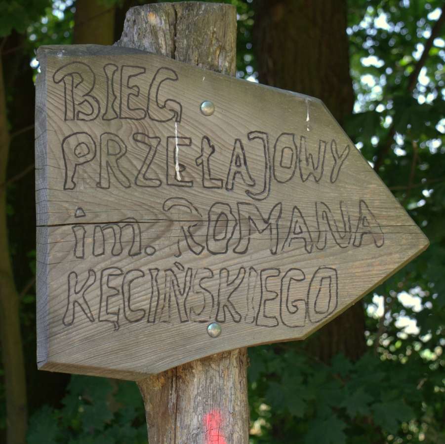 VIII Bieg przełajowy w Łąkie