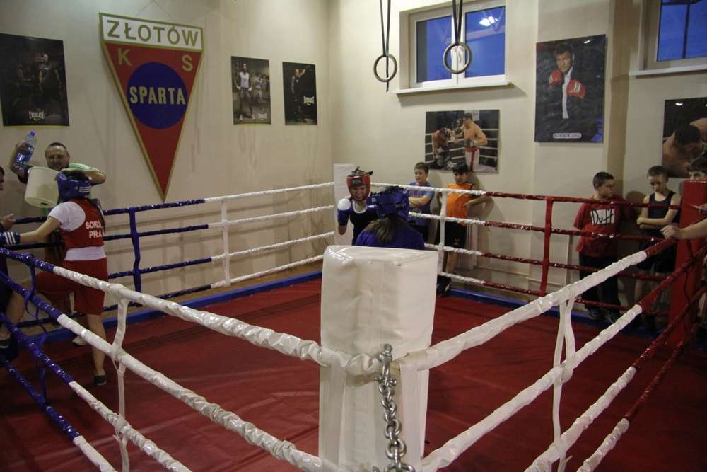 Sparingi bokserskie