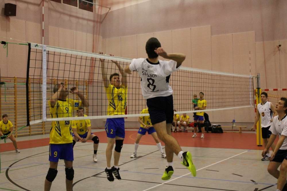 Amatorska liga piłki siatkowej