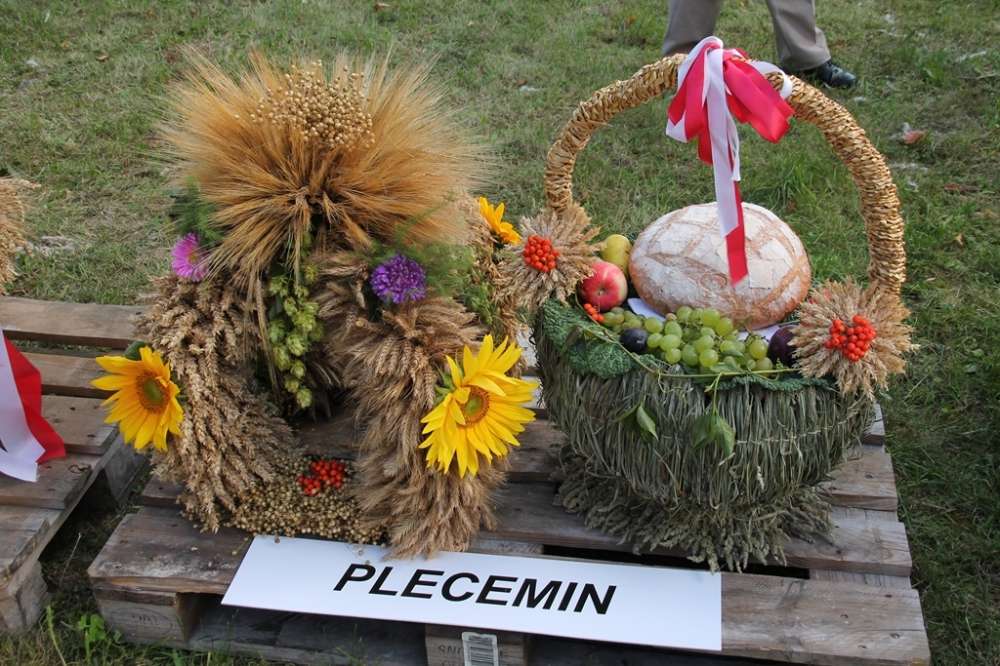 Dożynki gminne w Tarnówce
