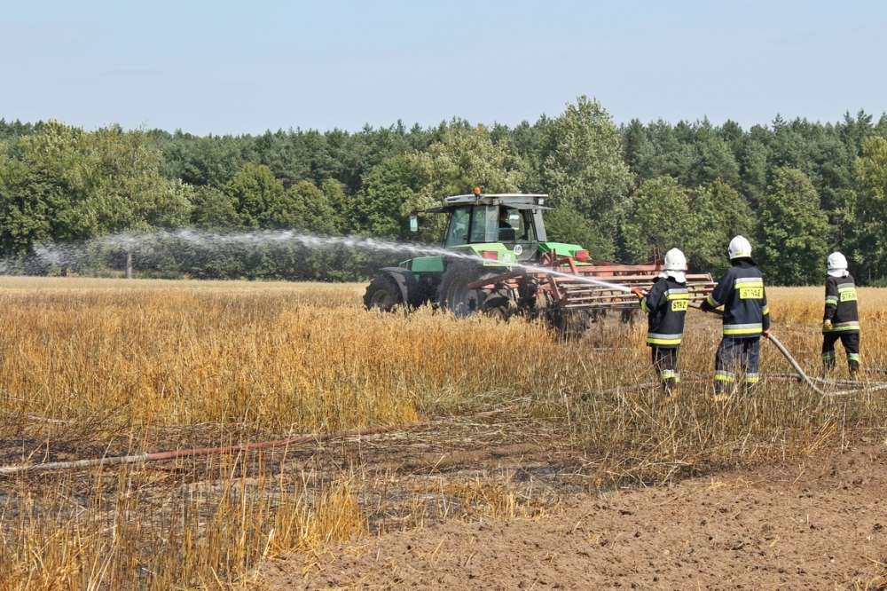Pożar zboża w Pieczynie