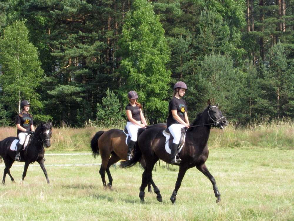 Wakacje w lesie