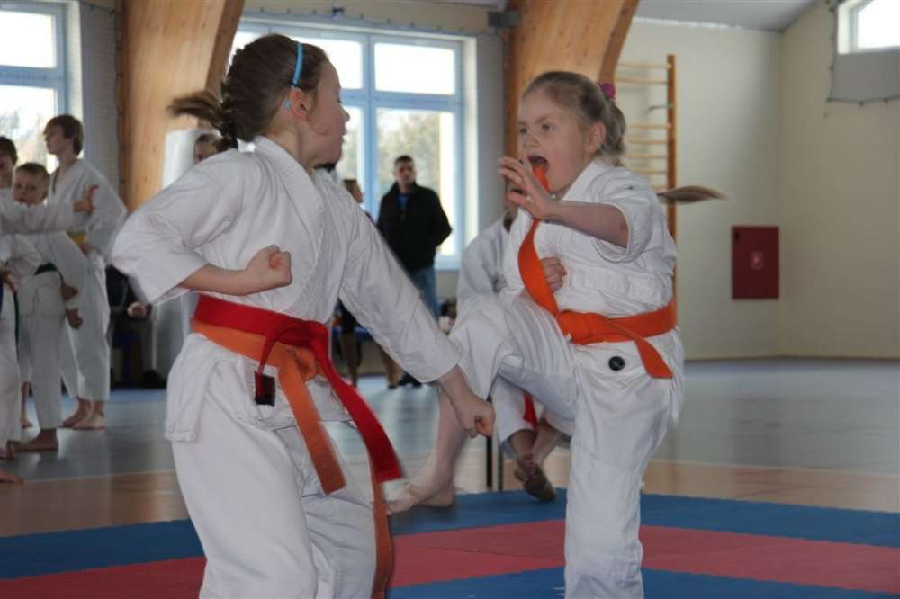 III Powiatowy Turniej Karate Tradycyjnego Fudokan