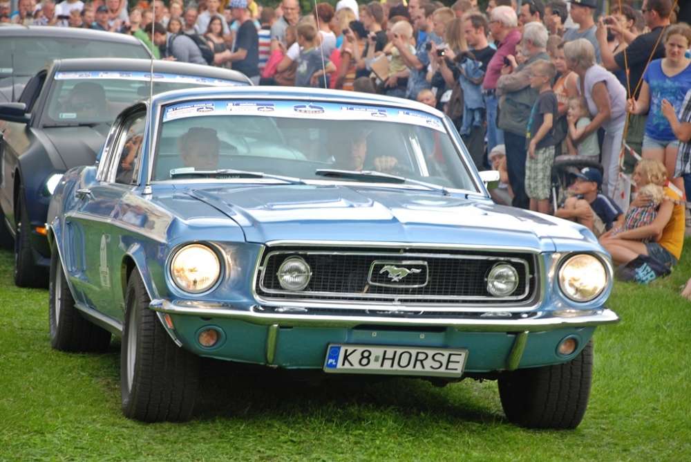 Mustang Race w Pile