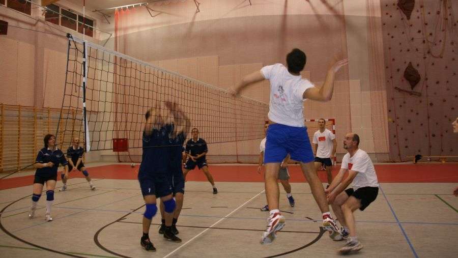 Amatorska Liga Piłki Siatkowej