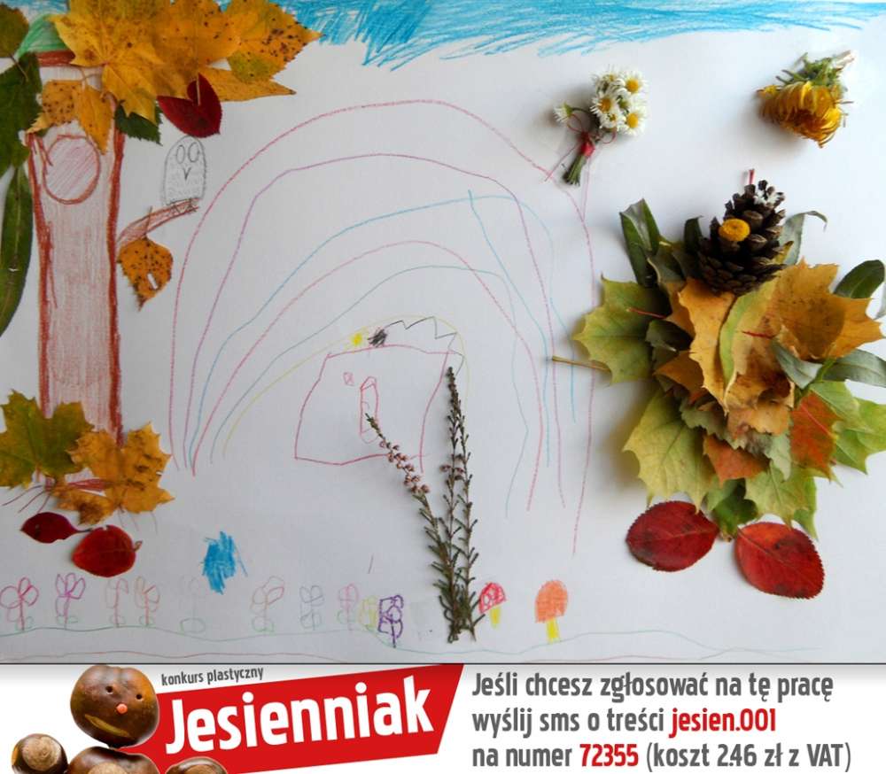 Nadesłane prace na konkurs Jesienniak