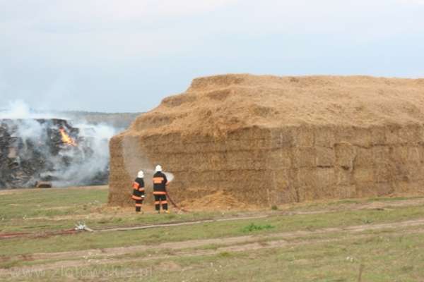 Pożar w Borucinie
