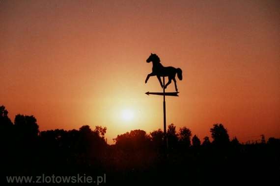 Pod słońce