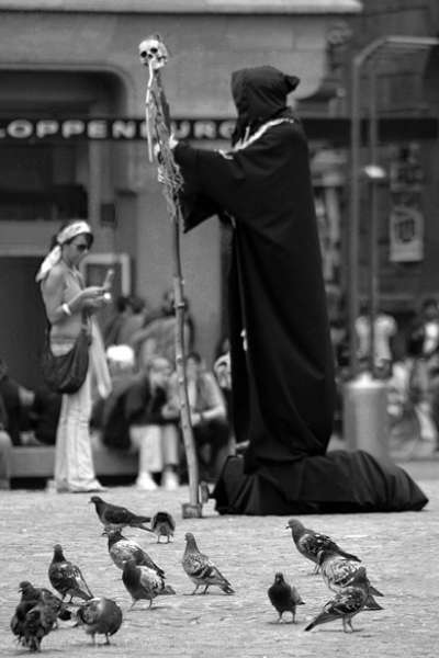 Birds of Amsterdam