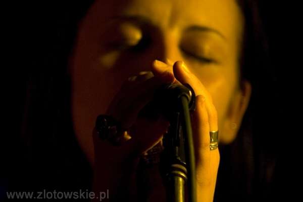 Koncert Łukasza Piosika