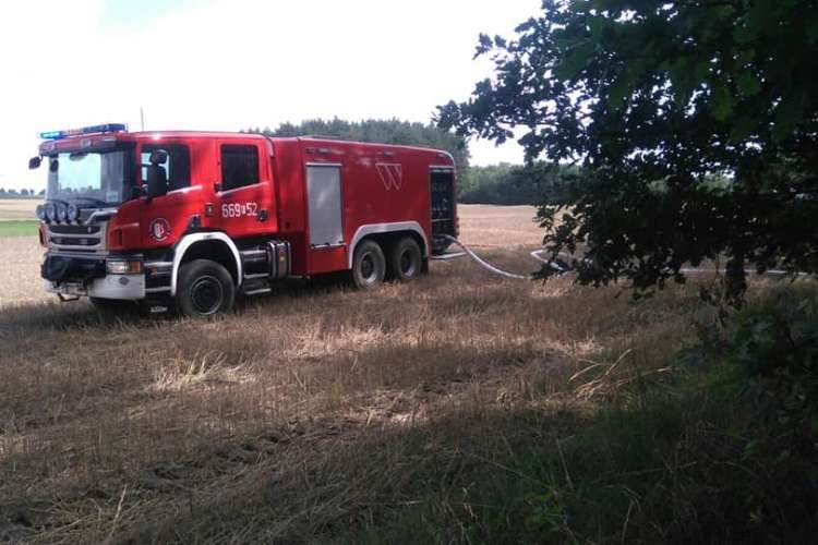 Pożar lasu w okolicy miejscowości Prochy