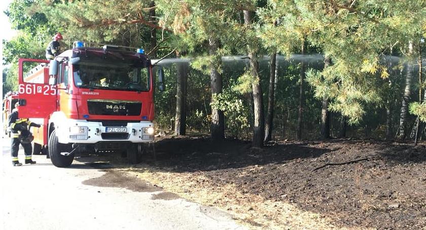 Pożar lasu przy Folwarku Hawaje w Starej Wiśniewce