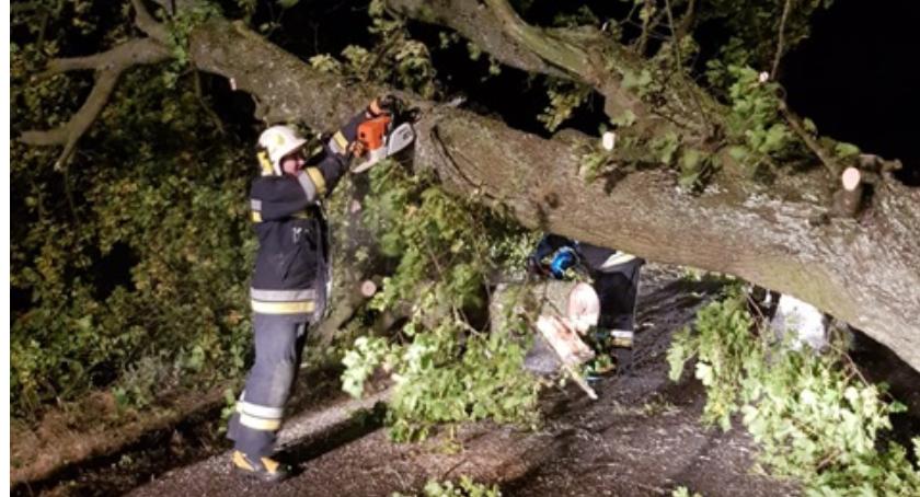 Strażacy walczyli ze skutkami silnych wiatrów w powiecie
