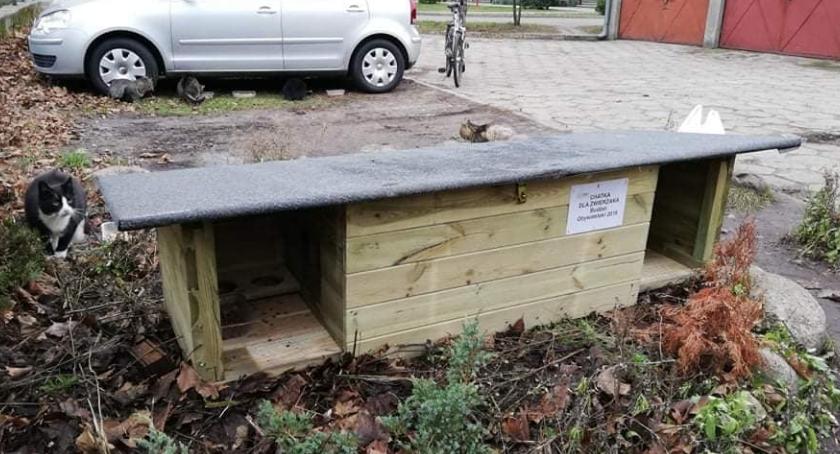 Chatka dla zwierzaka w Złotowie