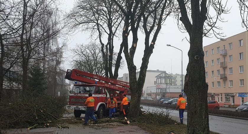 Przy ul. Norwida w Złotowie trwa przycinanie drzew