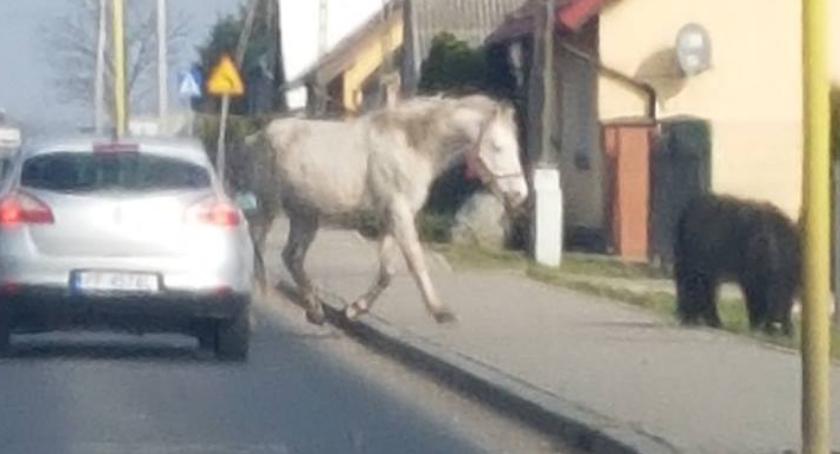 W Klukowie jak na Dzikim Zachodzie