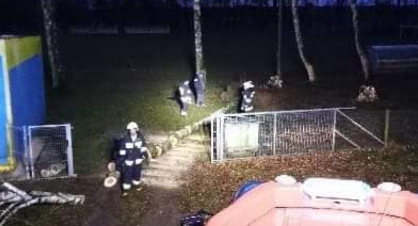Strażacy kontra powalone drzewa