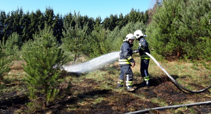 Pożar trawy i młodnika w Okonku