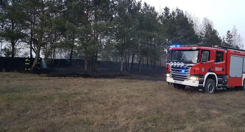 Pożar lasu i trawy w Jastrowiu