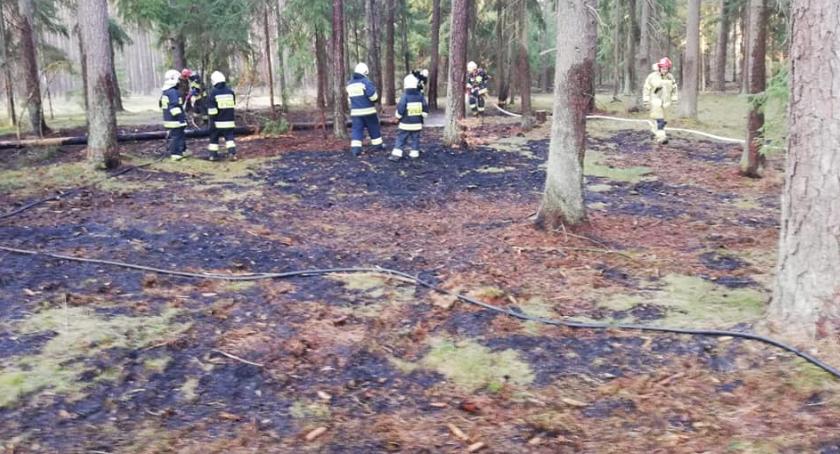 Pożar w lesie – zgłoszenie mieszkańca i szybka interwencja strażaków