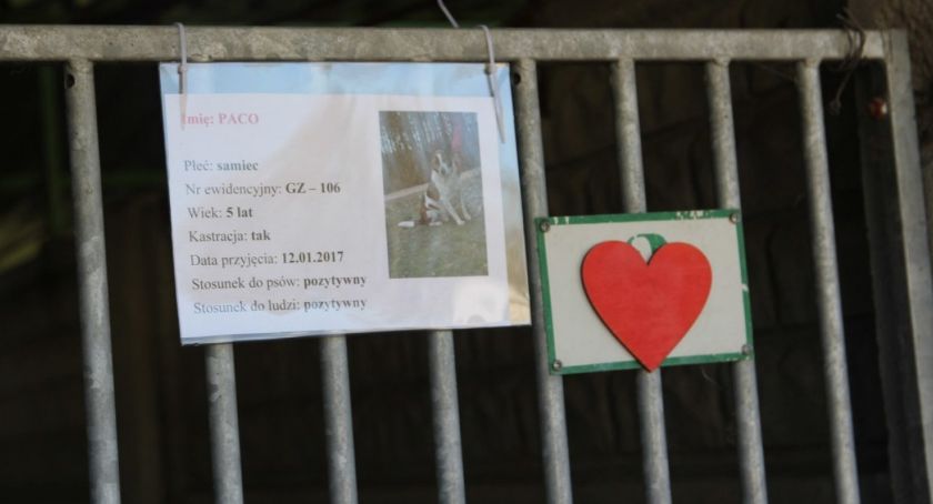 Schronisko dla zwierząt „Miluszków”