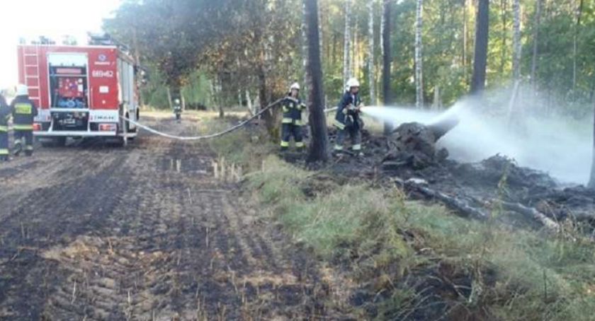Najwyższy stopień zagrożenia pożarowego w lasach!