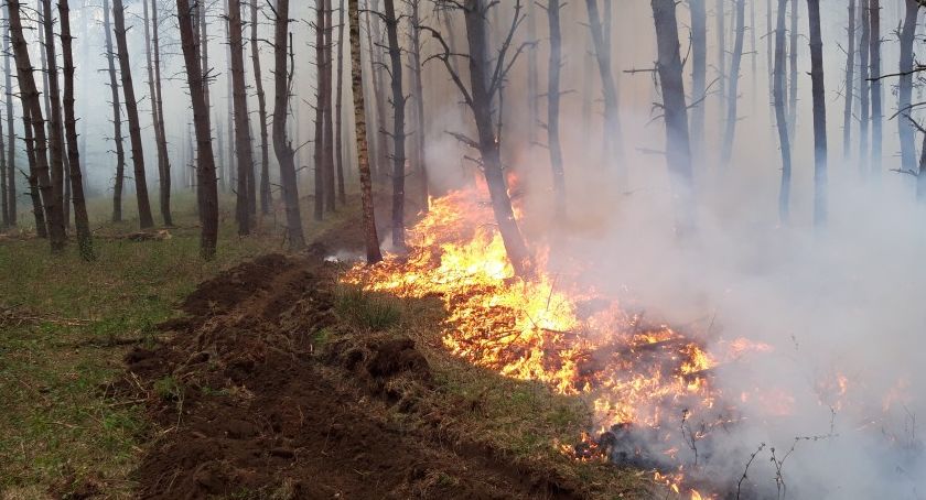 OSP Lotyń kontra pożar lasu