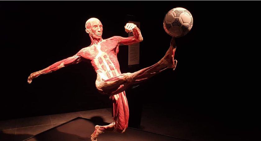 Uczniowie I LO na wystawie anatomicznej BodyWorlds