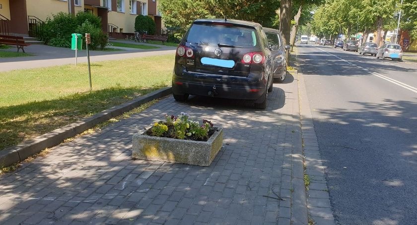 Takie kwiatki tylko w Złotowie