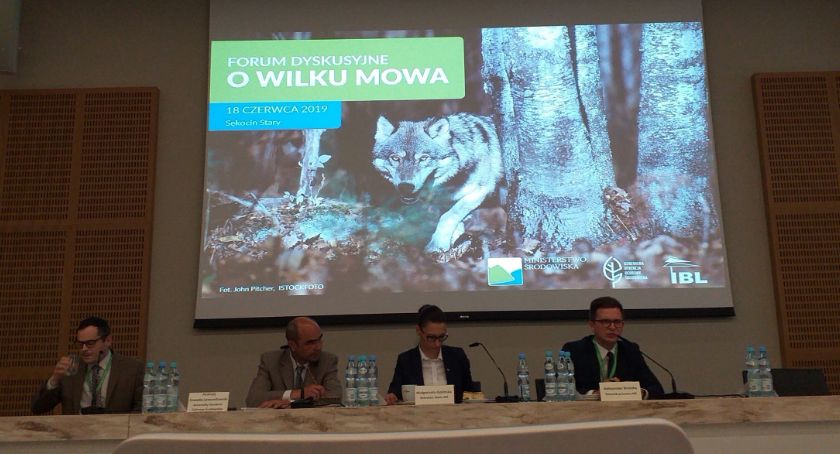 O wilku mowa