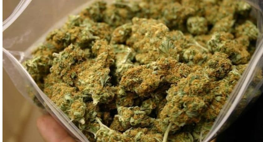 Przewoził pół kilograma marihuany