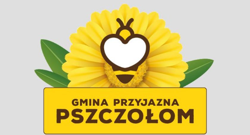 Pszczołom na ratunek - gmina Lipka dołącza do akcji