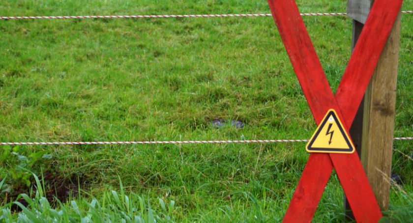 Z czego składa się pastuch elektryczny? Budowa ogrodzenia elektrycznego