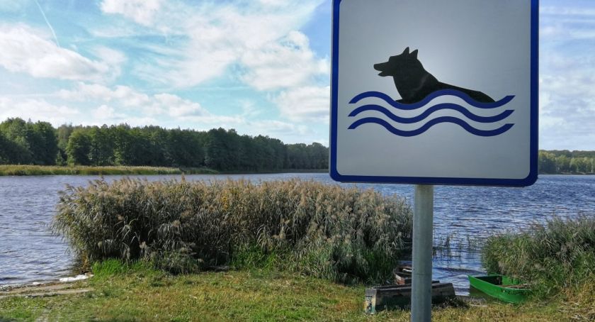 Plaża dla czworonogów w Złotowie