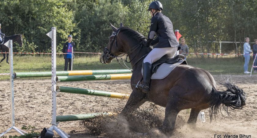 Skoki przez przeszkody w Anielinie