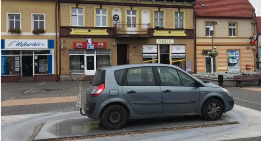 Mistrz parkowania