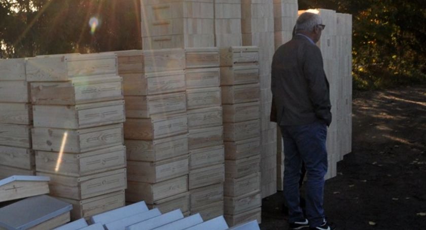 Ochrona i odbudowa populacji pszczół na terenie powiatu złotowskiego