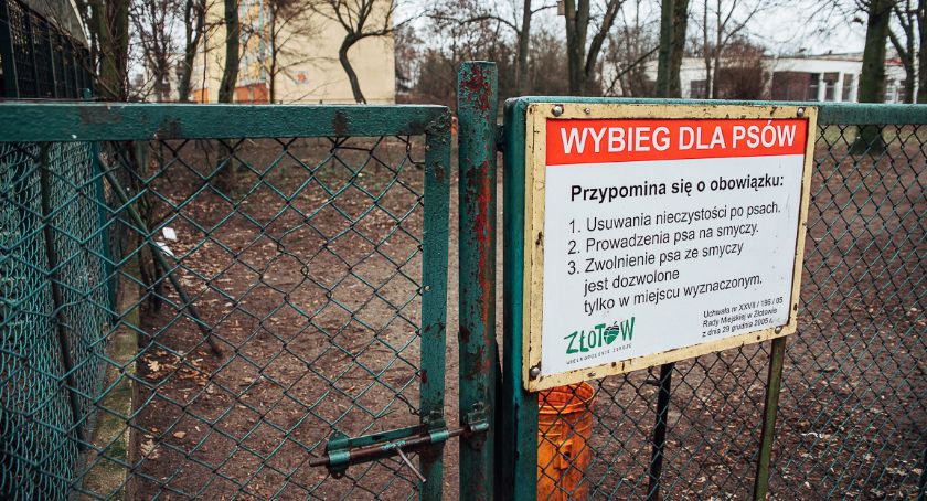 Czy psie odchody to dalej problem?