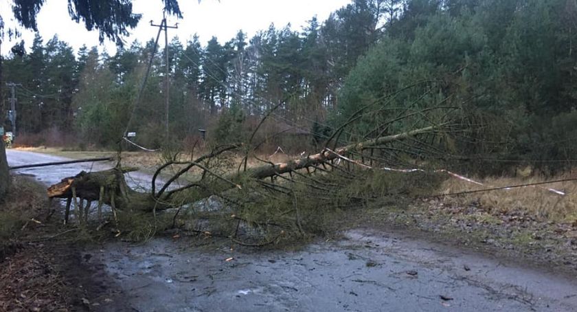 Skutki wichury koło Werska