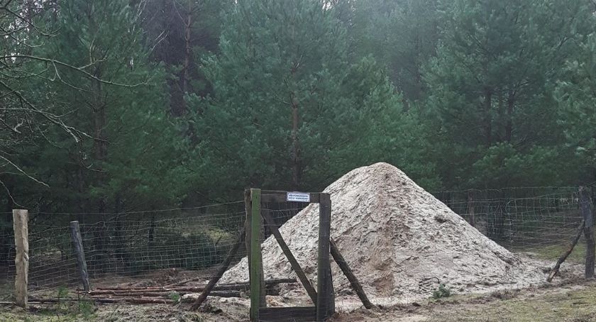 Koła łowieckie kopią „mogilniki” 