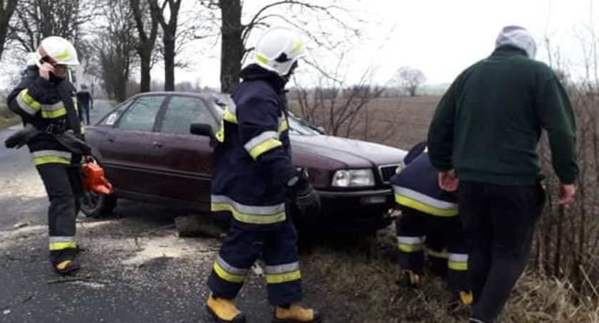 Drzewo spadło na jadący samochód