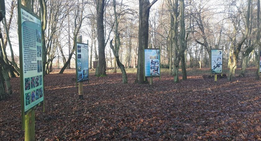 Będą prace porządkowe w zabytkowym parku 