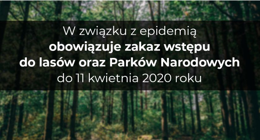 Koronawirus: Tymczasowy zakaz wstępu do lasu!