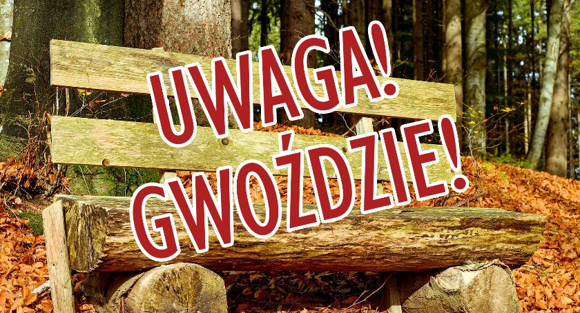 Jastrowie: Nie usiądź na gwoździach!